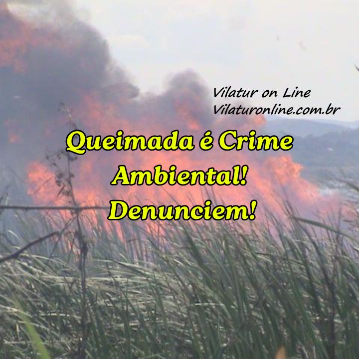 Queimada é Crime Ambiental! Denunciem! Queimada é Crime Ambiental, denunciem! - Vilaturonline.