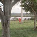 Limpeza-Lagoa-Jacarepia-Vilatur-Saquarema(13)