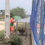 Limpeza-Lagoa-Jacarepia-Vilatur-Saquarema(9)