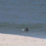 Inicio-temporada-surf-Vilatur (2)