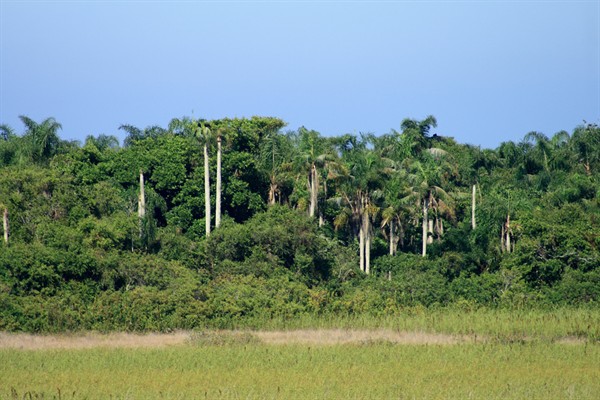 Vilatur-Reserva-Jacarepia