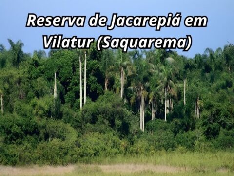 Um passeio na Reserva Ecológica de Jacarepiá em Vilatur (Saquarema) Reserva Ecológica de Jacarepiá em Vilatur.