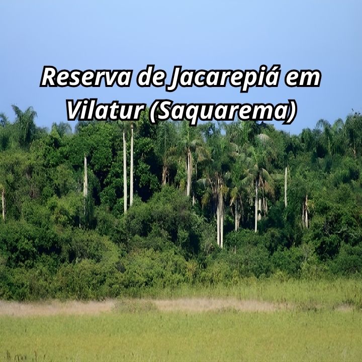 Um passeio na Reserva Ecológica de Jacarepiá em Vilatur (Saquarema) Reserva Ecológica de Jacarepiá em Vilatur.