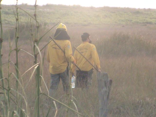 INEA combate incêndios na Reserva Florestal de Massambaba em Vilatur (Saquarema).