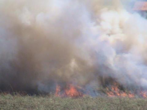 Seca da Lagoa de Jacarepiá e muito lixo nas ruas e reserva de Vilatur (Saquarema).