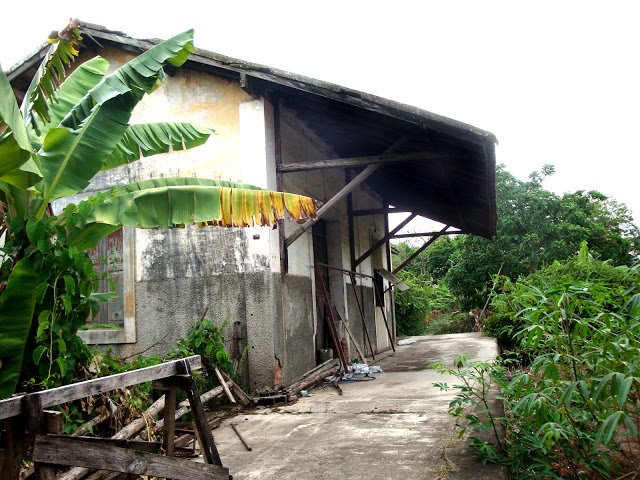 Estrada-de-ferro-Marica(56)