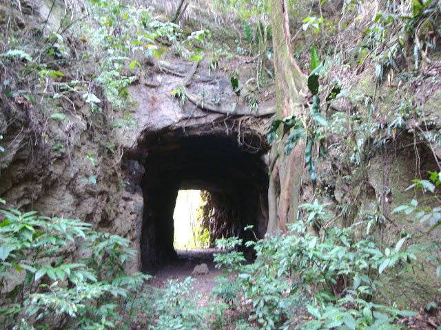 Estrada-de-ferro-Marica(61)