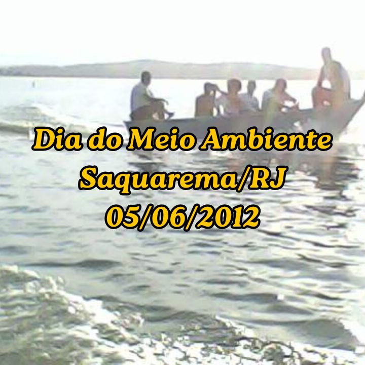 Alunos e Professores em um Barco na Lagoa de Saquarema para conhecer a fauna e a flora do local em 05/06/2012.