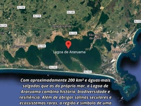 Lagoa de Araruama: História, Hipersalinização e Curiosidades Imagem do Google: Lagoa de Araruama vista de cima (Satélite).