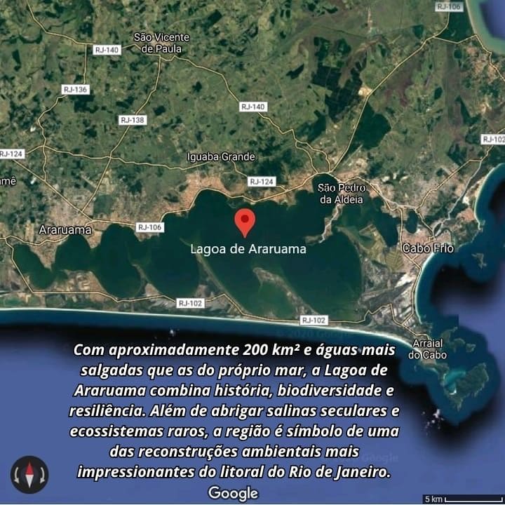 Lagoa de Araruama: História, Hipersalinização e Curiosidades Imagem do Google: Lagoa de Araruama vista de cima (Satélite).